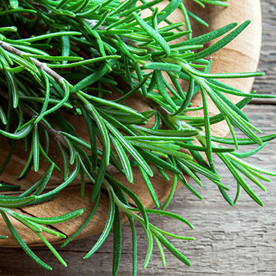 Rosemary